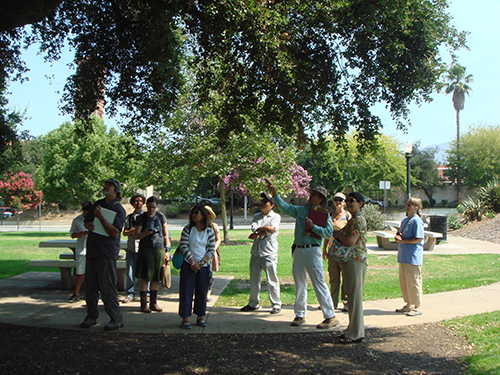 Learning about the trees at the Pasadena Memorial Park