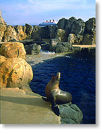 Seal and Sea Lion exhibit