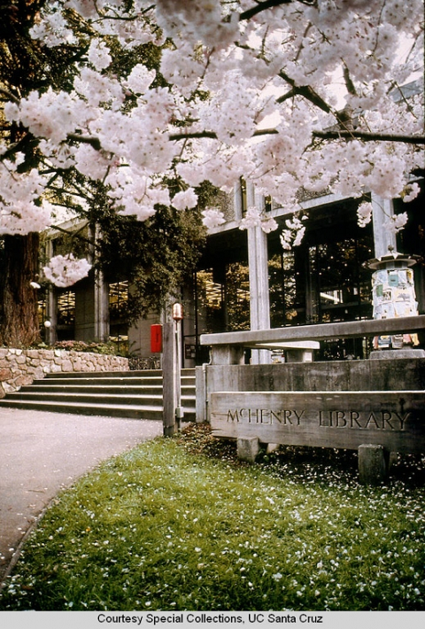 McHenry
                                                          Library in
                                                          spring