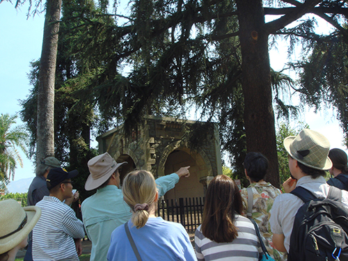 Learning about the trees at the Pasadena Memorial Park 